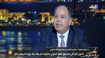 خفض الديون الحكومية.. وزير المالية السابق يوضح أسباب القرار وتأثيره على الأسواق المستفيدة